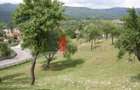 Teren intravilan 3214 mp in Rucar cu deschidere 56 m in DN73 - 2