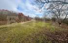 Teren extravilan, 4 hectare, langa livada de mere Ghinda - 6
