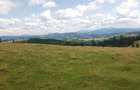 Vand 16 hectare de pasune - 5