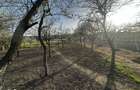 Proprietate Lunca Corbului jud arges 2600 mp - 8