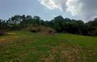 Teren mixt, 13.800 mp, fara gard, in zona rurala - 1