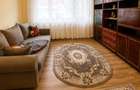 Apartament 2 camere de inchiriat, Ultracentral Aleea Ion Gramada - 2