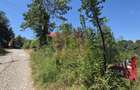 Teren 4.519 mp intravilan de vanzare in Breaza - 2