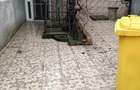 Casa la curte de vanzare - 5
