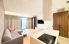 Apartament de inchiriat 2 camere One Herastrau Vista - 5