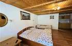 Complex turistic complet functional-zona Raul Sadului-afacere la cheie - 33