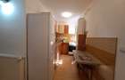 Apartament cu 1 camera-complet renovat-centrala proprie-38 mp utili-Freidorf - 5