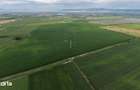 Ocazie! 177 loturi de gradina Bra?ov intravilan suprafa?a 500 mp - 4