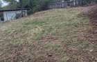 Teren de 2400 mp, în Vlădești - 1