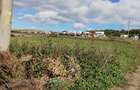 Teren agricol extravilan de 4600 mp, în Baciu - 2