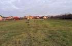 Teren intravilan 1150 mp de vanzare in Cihei - 2