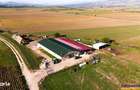 FILM! 18.000 mp, extravilan, agricol+ constructii:ferma,investitii agr - 7