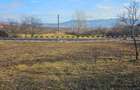 Vand teren intravilan - 10