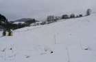 Teren 12.066 mp intravilan de vanzare in Bucovina Comuna Breaza Zona Breaza De sus - 3