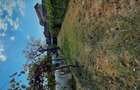 De vanzare casa, curte ?i gradina in Ora?tie - 6