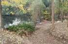 Vila | ideal investment Land with access to Snagov Lake - 2