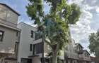 Casa/Vila De Inchiriat Parcul Carol. Prima Inchiriere, S+P+2E+3R, 280 - 13