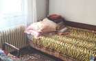 Apartament parter Lamaita - 3