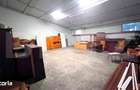Hale Industriale 3.850 mp Utili + Teren 11.400 mp | Blaj - 1
