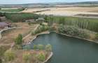 DE INCHIRIAT - Proprietate de 17 hectare situata pe malul unui lac pitoresc, la nodul rutier Episcopia Bihor Santaul Mic. - 1