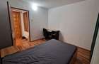 Apartament 3 camere Brazda lui novac - 3