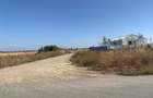 De vanzare doua loturi in Ostratu, Corbeanca 541mp, 500mp 60euro/mp