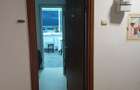 Vand apartament in zona drumul taberei - 13
