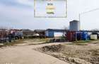 Teren construibil 5471 mp, rezidential Mangalia - 1