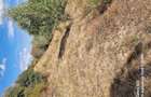 Vand doua parcele de teren in suprafa?a de 3000 ?i 4700 mp - 2