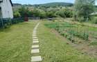 Teren intravilan str.Rachitei Bistrita - 1