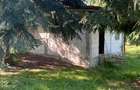 Proprietar, vand casa parter+etaj, 150 mp, curte 3438 mp, Avram Iancu - 7