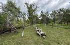 Proprietate 1.500 mp | 4 camere | Priveliste panoramica | Livada
