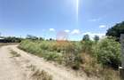 Teren Intravilan 1700 mp - Localitatea Amzacea - 2