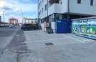 Spa?ii comerciale stradale +parcare Sg Ilie Petre 17 - 11