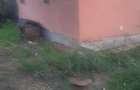 Casă cu 1 camere cu Teren 3625 Mp în Vlădiceni