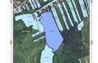 Urgent si ieftin de VINZARE 10 ha teren in comuna VAMA de SATU MARE 10 000 EURO hectarul - 4