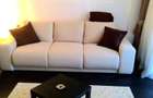 Garsoniera cocheta BABA NOVAC - 3