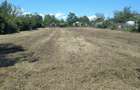 Vand teren intravilan sat Albina - 2