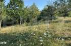 Teren extravilan, de vanzare, 1.500 mp, zona Valea Ghinzii-strada Palt - 6