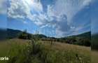 Teren cu poten?ial turistic, cadru natural rar, 20.000 mp Sacuieu - 2