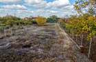 Teren 1.514 mp cu casă P+M Aradul Nou, Strada Posada Comsion 0%