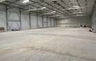 Spatiu industrial frigorific de inchiriat 2800 mp - Otopeni - 4