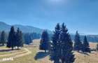 APARTAMENT DE VACANTA - POIANA BRASOV - 13
