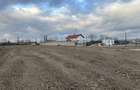 Teren intravilan 5800mp tileagd E60