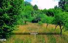 Teren intravilan 6115mp | Danesti, Maramures | Oportunitate investitie - 6