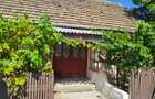 Casa + Curte + Teren arabil generos, Nerau, Teremia Mare, 1596 mp, locuibila imediat - 5