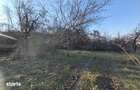Teren intravilan arabil-com. Dumbrava, jud. Timis - 8