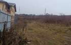 Teren de vanzare zona Bucium Plopii fara Sot - 2
