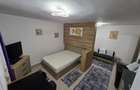 Garsoniera / studio de inchiriat in casa/vila zona case Banat - 5