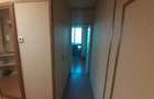 Apartament 2 camere Buziasului - 3